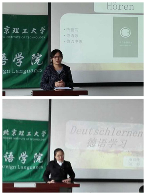 风动体育