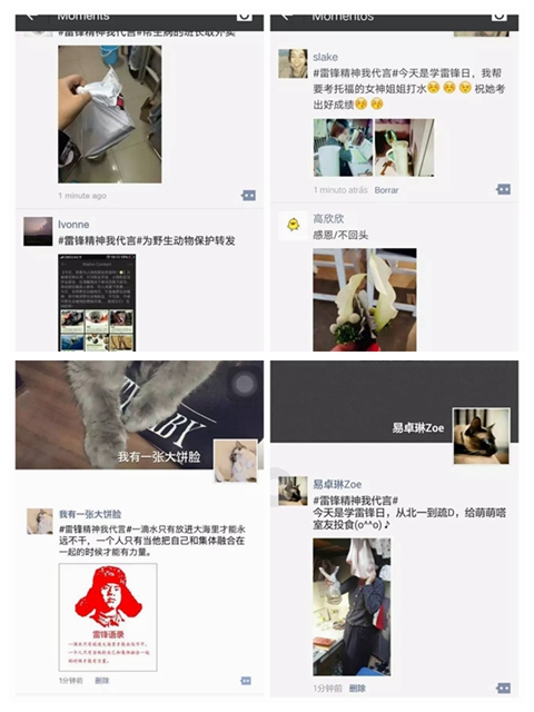 风动体育