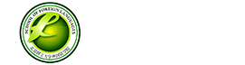 风动体育